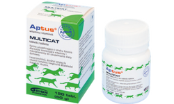 multicat