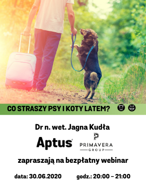 Webinar