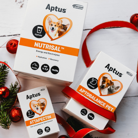 APTUS® ZDROWY BRZUCH